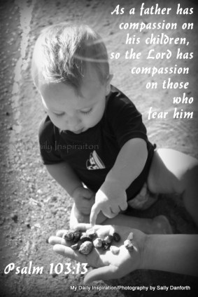 Image result for The Lord' Compassion