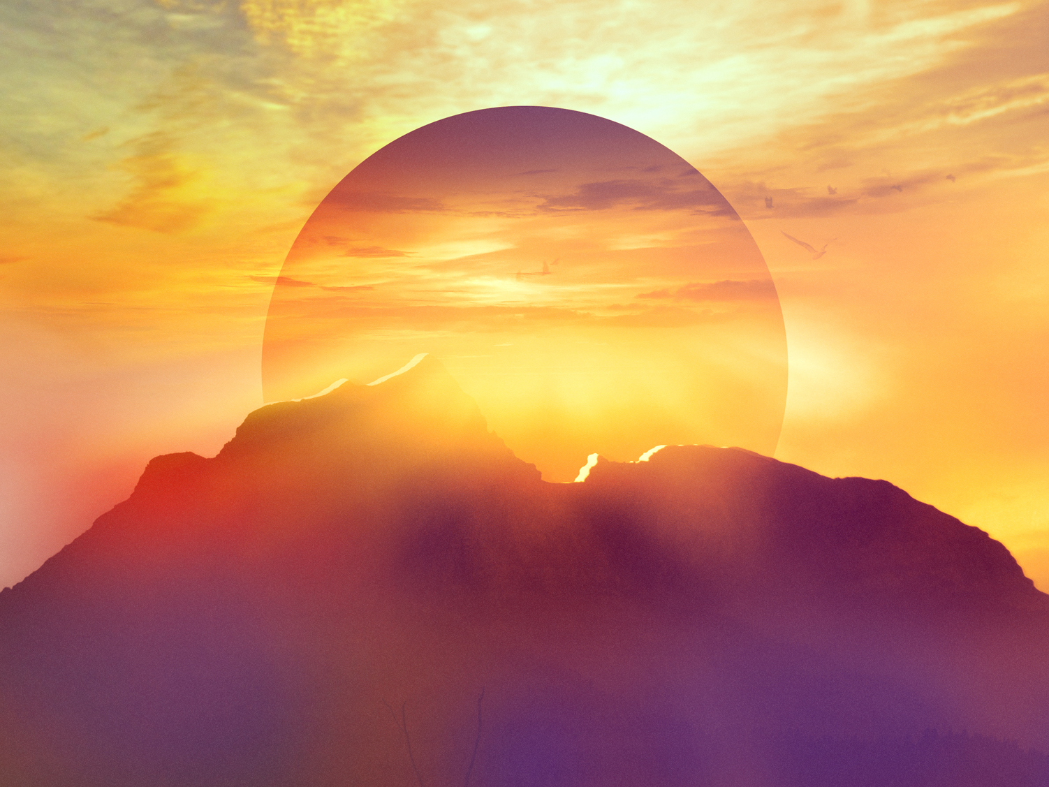 Image result for The light of life