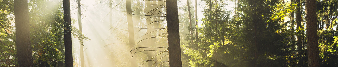 This image has an empty alt attribute; its file name is odb20190104.jpg