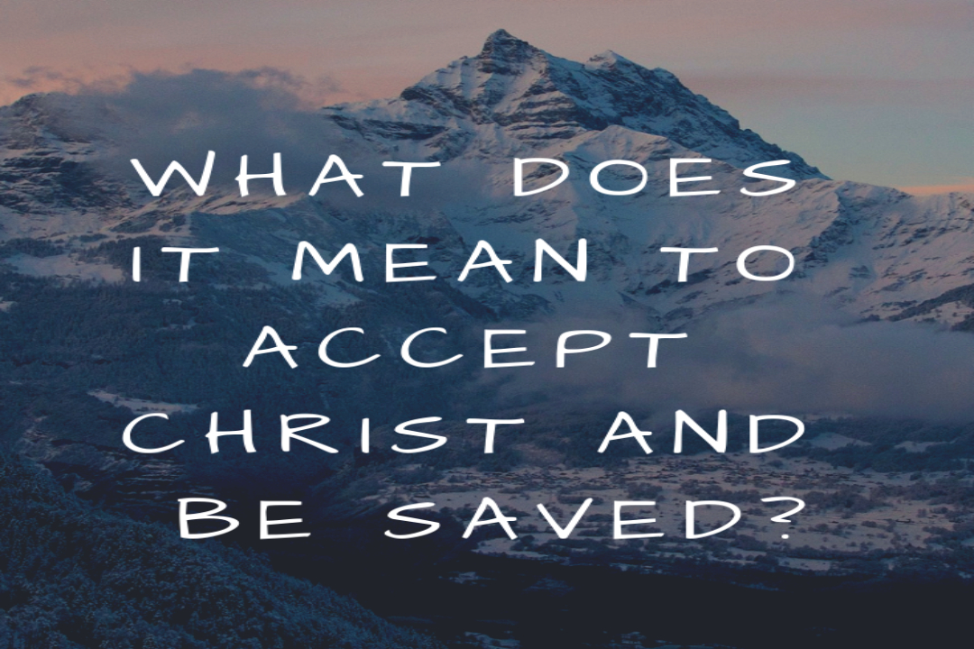 Image result for growing up in salvation