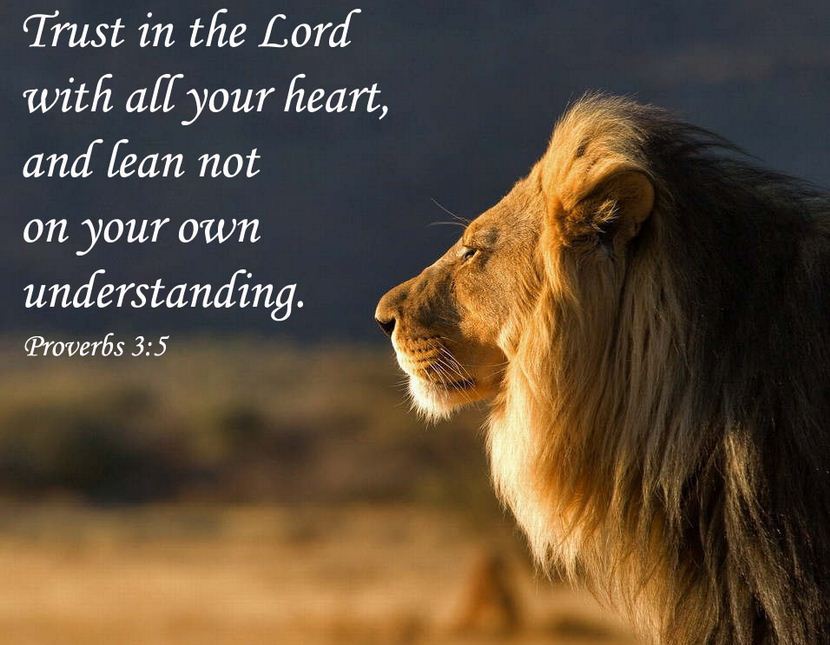 Image result for Trusting in the lord