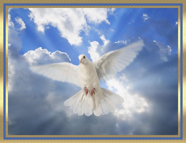 Image result for the promise of the holy spirit