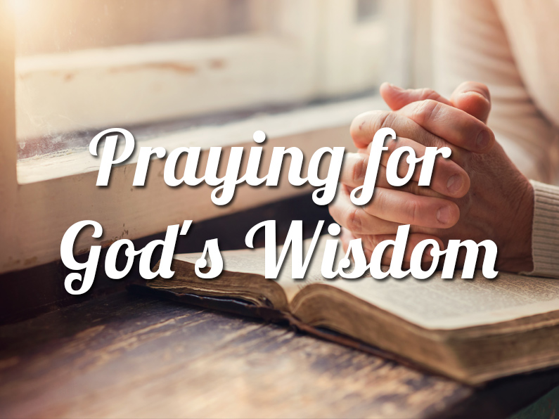 Image result for Trust & Wisdom