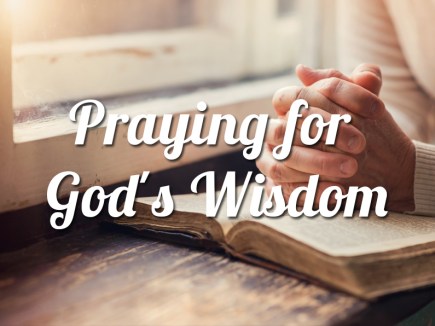 Image result for Trust & Wisdom