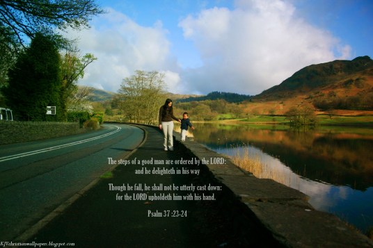 Image result for Psalm 37 v 24