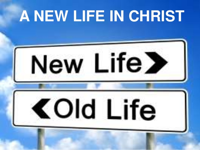 Image result for A new life in Christ
