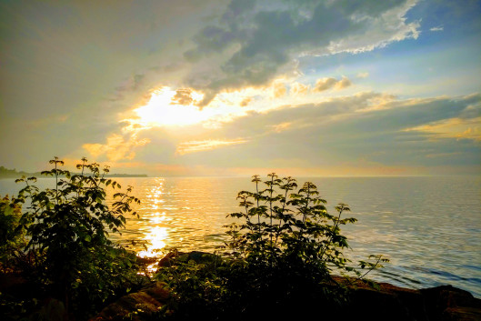 Image result for God doesn't forget the needy and the afflicted