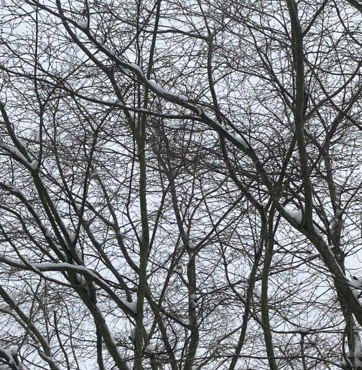 A New Path – February 7,&nbsp;2020