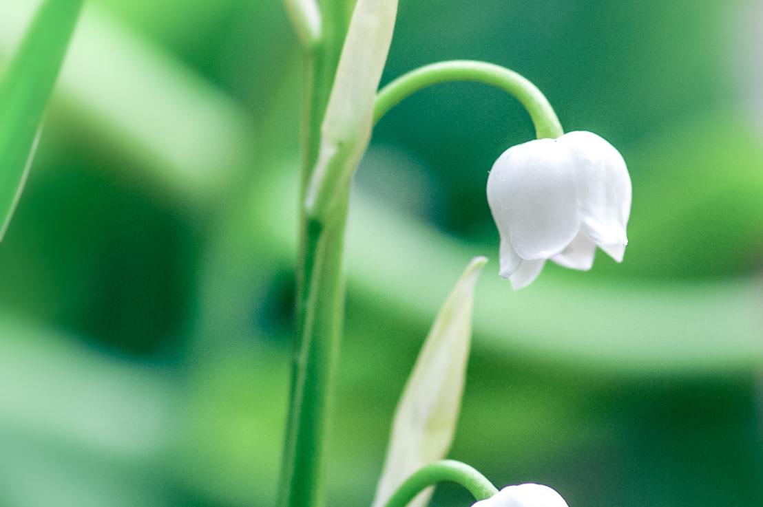 Feliz Martes Amigos y&nbsp;Amigas