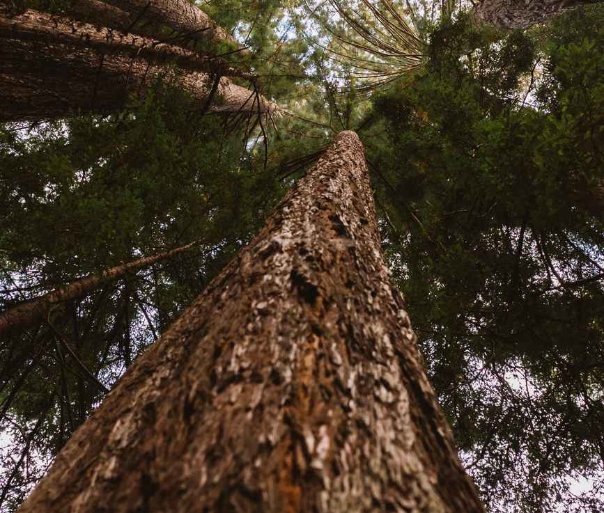 In Stress Comes&nbsp;Words