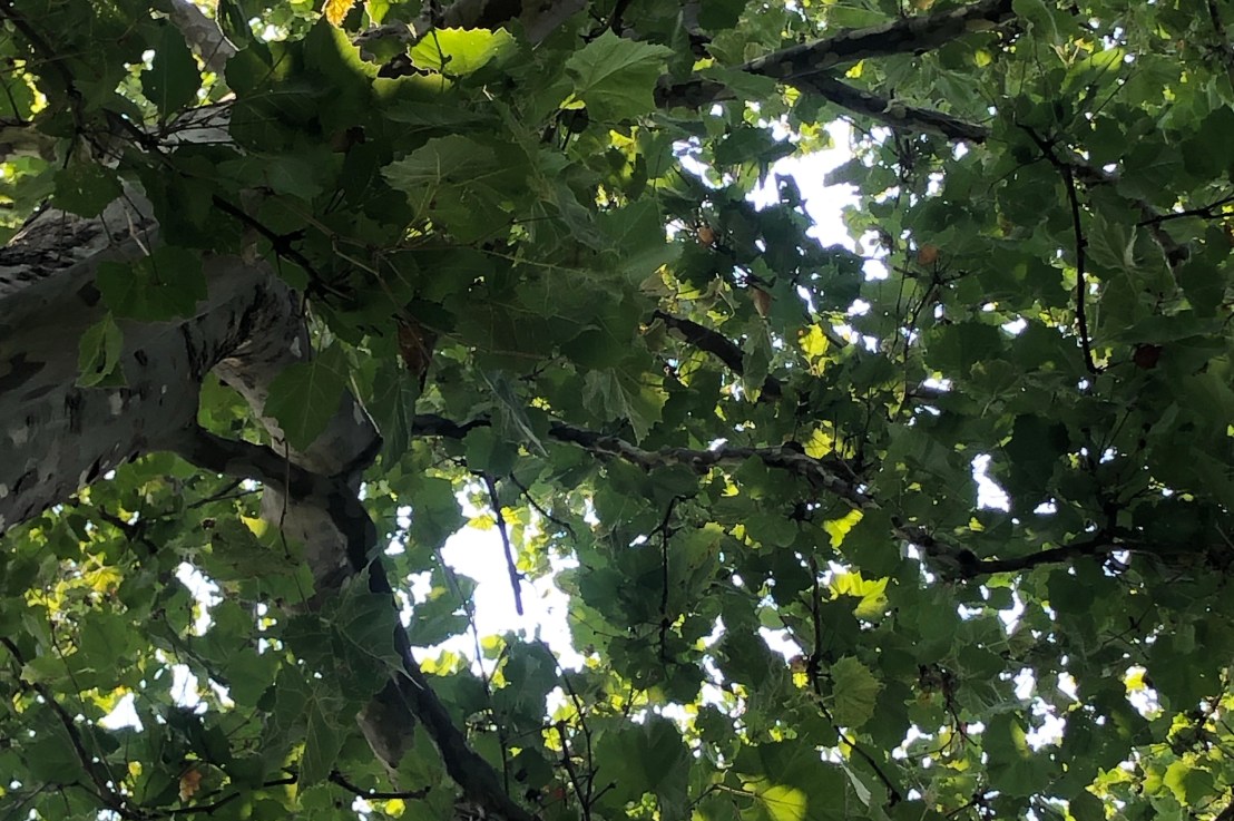 Somethin Bout Mirrors&nbsp;🪞