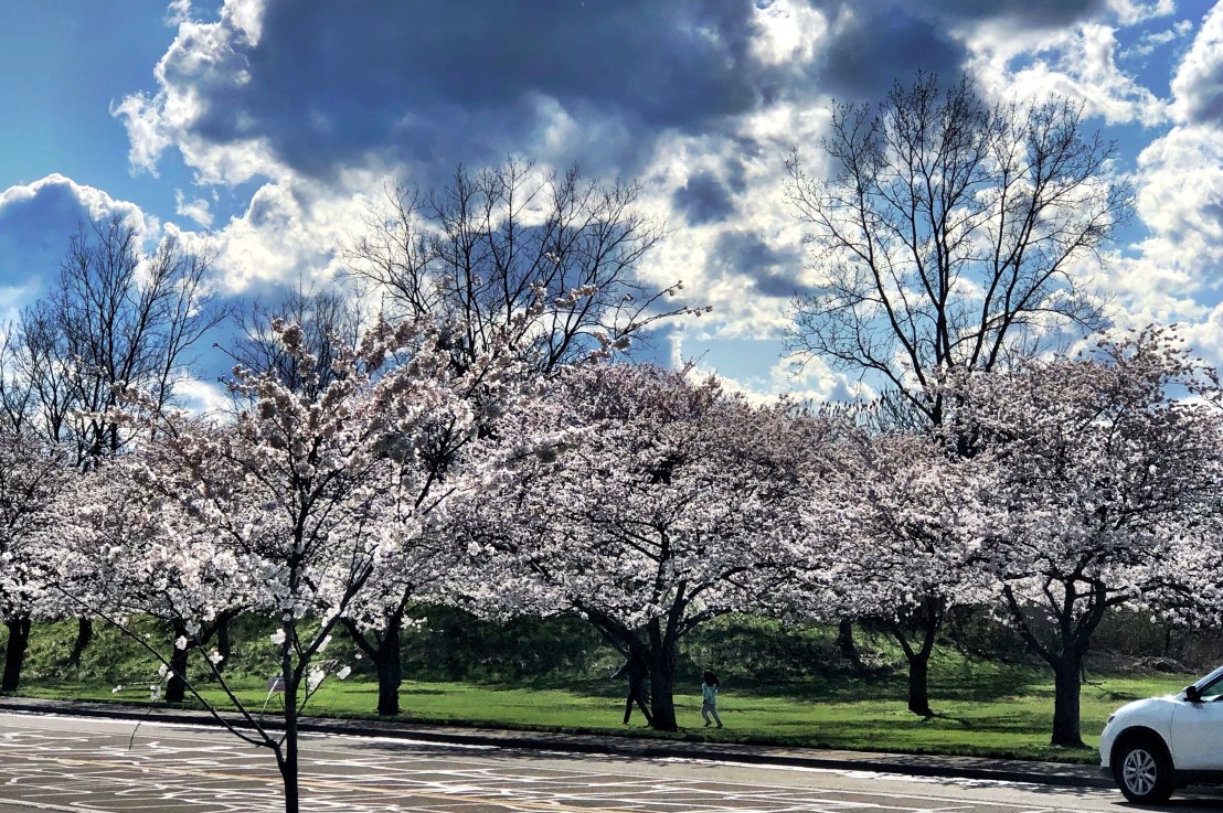 My Feel-Good Friday&nbsp;🪷