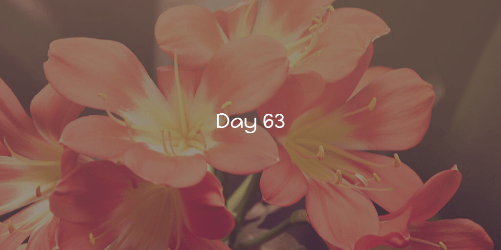 Just an average&nbsp;Friday